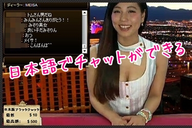日本語でできるライブチャットの様子